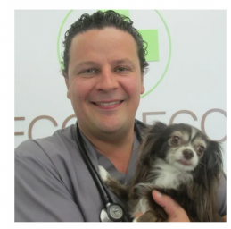 Eco Deco Pet Hospital