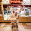 Piroshky Bakery